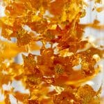 feuilles or